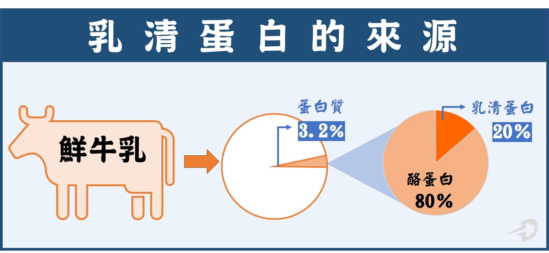 乳清蛋白大剖析 怎麼挑選適合自己的乳清蛋白 我真的需要補充乳清蛋白嗎 倍速運動 台南私人教練首選 首重運動成效的私人教練健身房